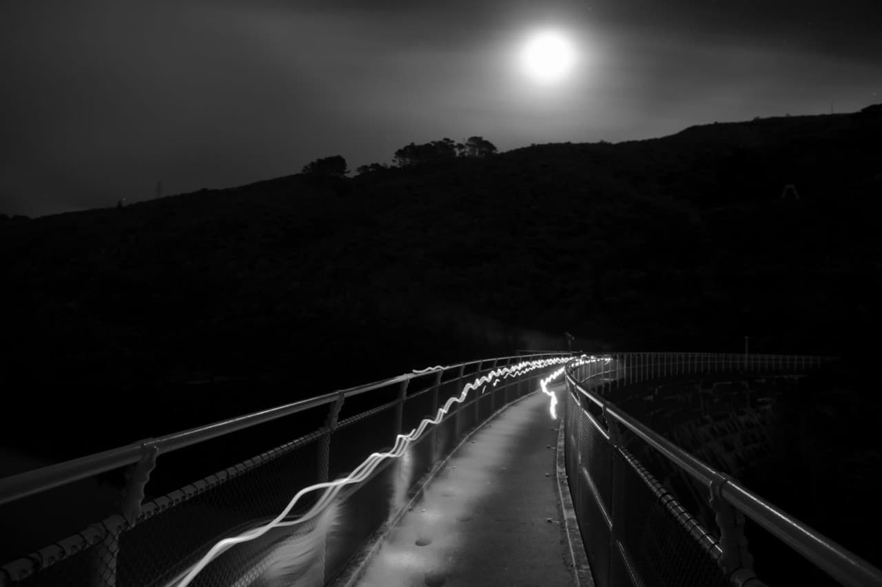 Zealandia Night Tour - image 5